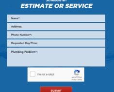 Example of CAPTCHA on a Form